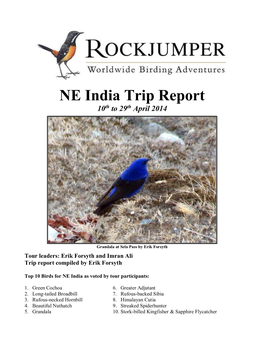 NE India Trip Report 10Th to 29Th April 2014