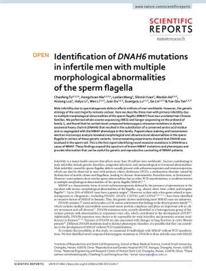 Identification of DNAH6 Mutations in Infertile Men with Multiple