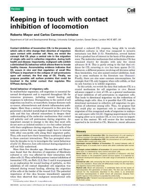 Keeping in Touch with Contact Inhibition of Locomotion