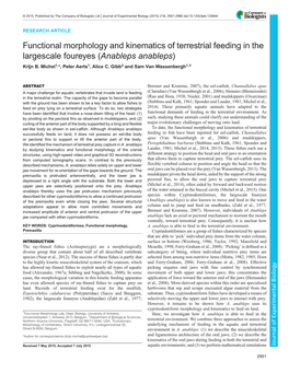 Functional Morphology and Kinematics of Terrestrial Feeding in the Largescale Foureyes (Anableps Anableps) Krijn B