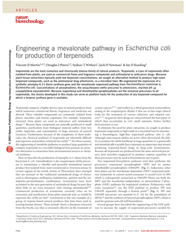 Engineering a Mevalonate Pathway in Escherichia Coli for Production of Terpenoids
