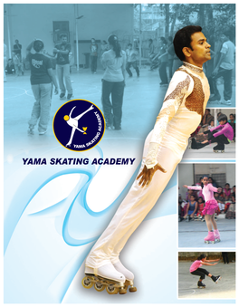 Academy 2014 Brochure for Schools