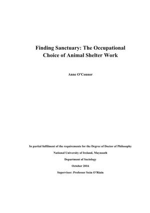 The Occupational Choice of Animal Shelter Work