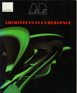 Architects in Cyberspace