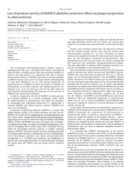 Loss of Protease Activity of ADAM15 Abolishes Protective Effects on Plaque Progression in Atherosclerosis