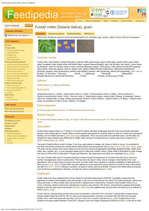 Foxtail Millet (Setaria Italica), Grain | Feedipedia