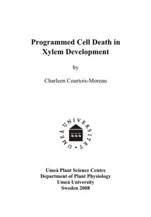 Programmed Cell Death in Xylem Development