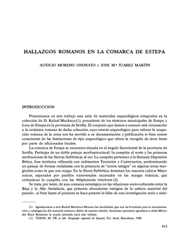 Hallazgos Romanos En La Comarca De Estepa (2)