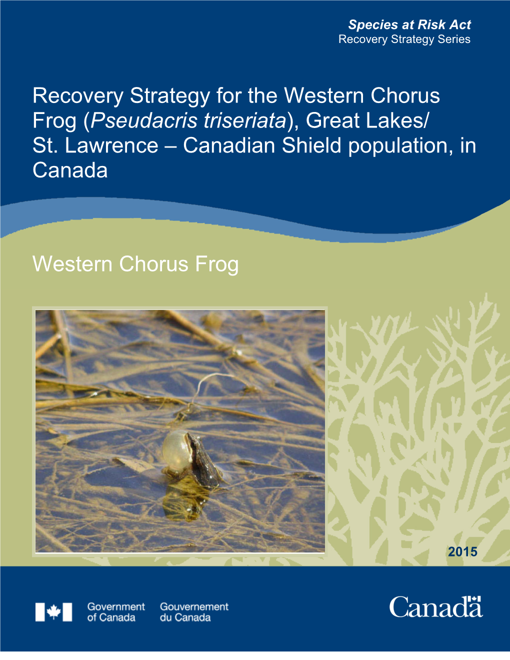 Recovery Strategy for the Western Chorus Frog (Pseudacris Triseriata), Great Lakes/ St