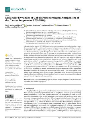 Molecular Dynamics of Cobalt Protoporphyrin Antagonism of the Cancer Suppressor REV-Erbβ