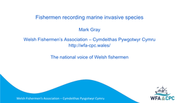 Fishermen Recording Marine Invasive Species