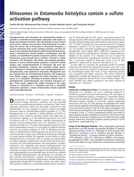 Mitosomes in Entamoeba Histolytica Contain a Sulfate Activation Pathway