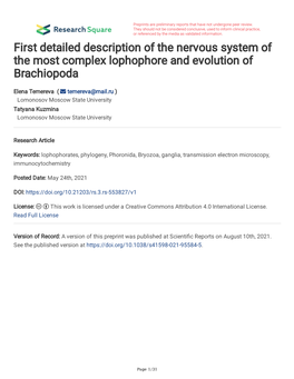 First Detailed Description of the Nervous System of the Most Complex Lophophore and Evolution of Brachiopoda