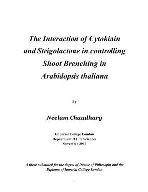 The Interaction of Cytokinin and Strigolactone in Controlling Shoot Branching in Arabidopsis Thaliana