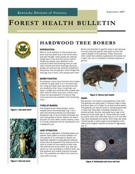 Forest Health Bulletin