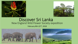 Discover Sri Lanka New England Wild Flower Society Expedition February 8Th-22Nd, 2018