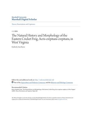 The Natural History and Morphology of the Eastern Cricket Frog, Acris Crepitans Crepitans, in West Virginia