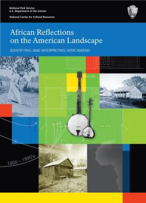 African Reflections on the American Landscape