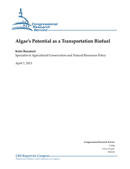 Algae's Potential As a Transportation Biofuel