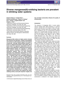 Oxidizing Bacteria Are Prevalent in Drinking Water Systems