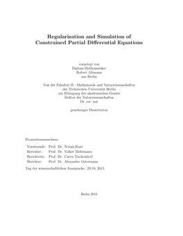 Regularization and Simulation of Constrained Partial Differential