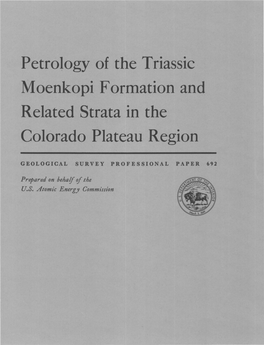 Petrology of the Triassic Moenkopi Formation and Colorado Plateau