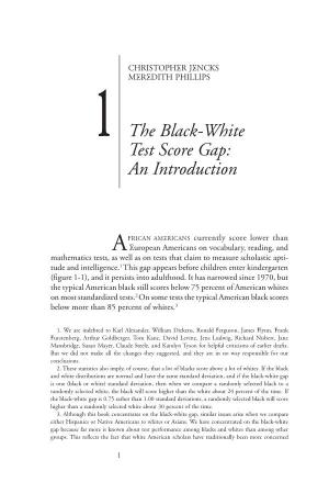 The Black-White Test Score Gap: an Introduction