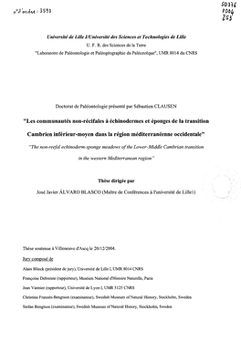 "Les Communautés Non-Récifales À Échinodermes Et Éponges De La Transition