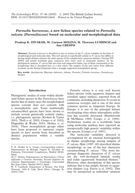 Parmelia Barrenoae , a New Lichen Species Related to Parmelia Sulcata