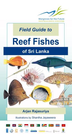 Reef Fishes Reef Fishes to Work Towards a Common Goal