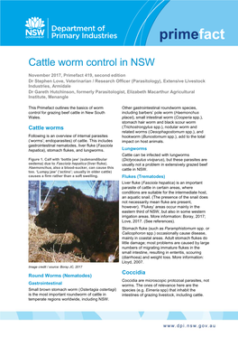 Cattle Worm Control in NSW