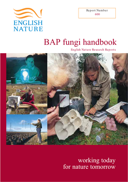 BAP Fungi Handbook English Nature Research Reports