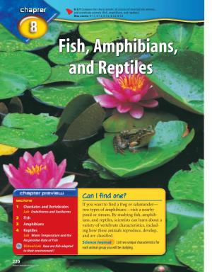 Fish, Amphibians, and Reptiles)