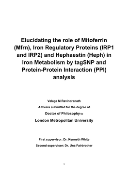 In Iron Metabolism by Tagsnp and Protein-Protein Interaction (PPI) Analysis