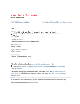 Collecting Cuphea, Sanvitalia and Zinnia in Mexico Mark P