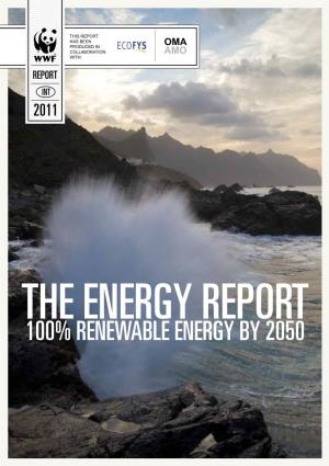 100% Renewable Energy by 2050