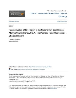 Reconstruction of Fire History in the National Key Deer Refuge, Monroe County, Florida, U.S.A.: the Palmetto Pond Macroscopic Charcoal Record