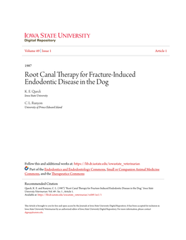 Root Canal Therapy for Fracture-Induced Endodontic Disease in the Dog K