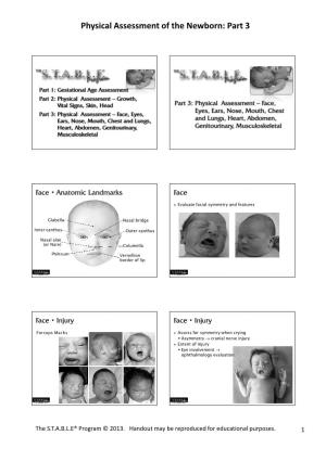 Physical Assessment of the Newborn: Part 3