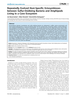 Repeatedly Evolved Host-Specific Ectosymbioses Between Sulfur-Oxidizing Bacteria and Amphipods Living in a Cave Ecosystem