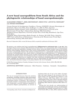 A New Basal Sauropodiform from South Africa and the Phylogenetic Relationships of Basal Sauropodomorphs
