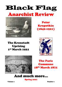 Black Flag Anarchist Review