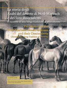 La Storia Degli Arabi Del Deserto Di Weil Marbach E Dei