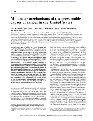 Molecular Mechanisms of the Preventable Causes of Cancer in the United States