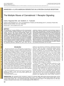 The Multiple Waves of Cannabinoid 1 Receptor Signaling
