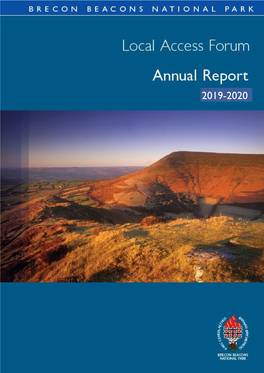 Annual Report, April 2019 – November 2020