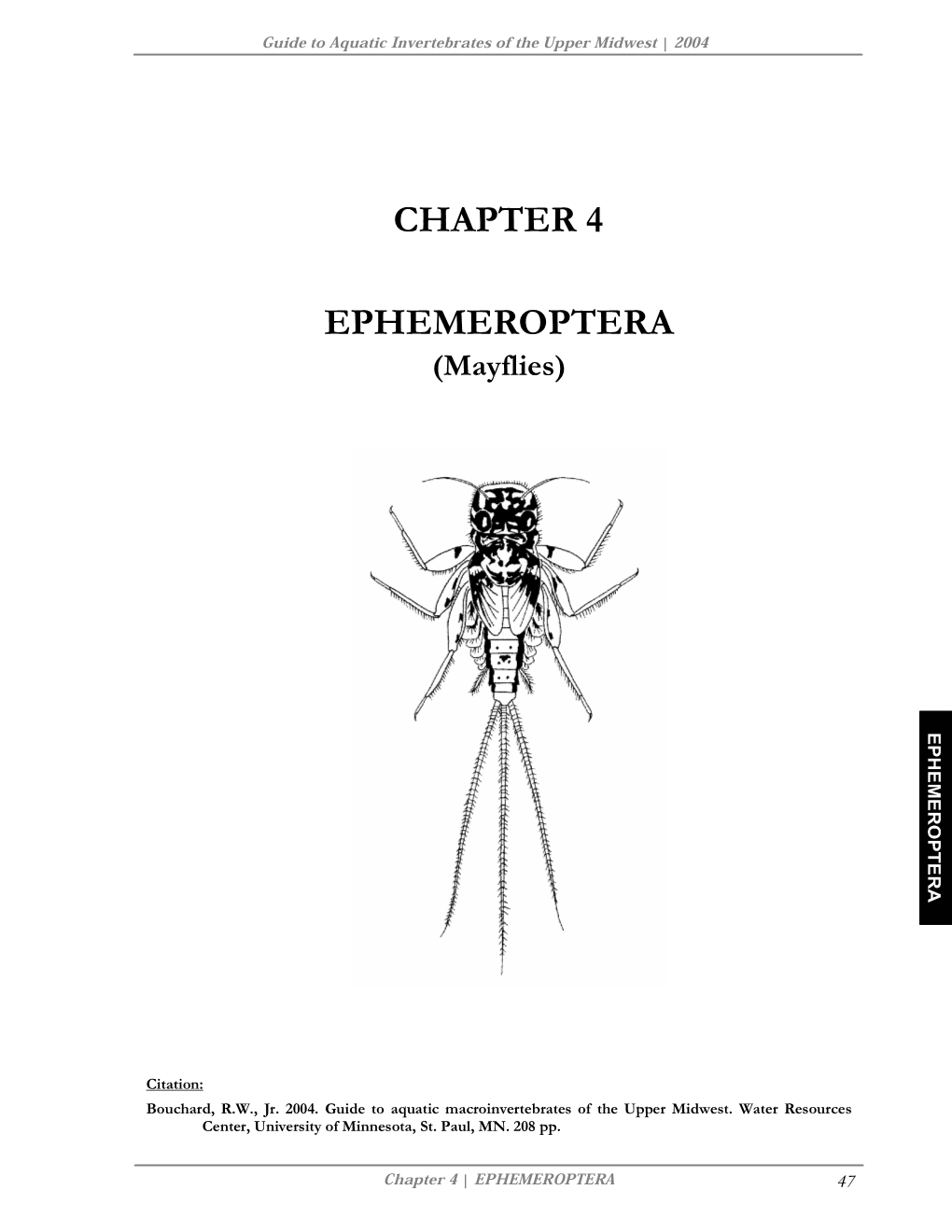 Chapter 4 Ephemeroptera