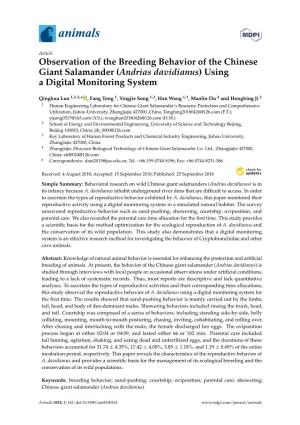 Observation of the Breeding Behavior of the Chinese Giant Salamander (Andrias Davidianus) Using a Digital Monitoring System