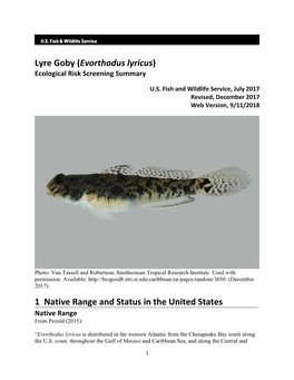 Lyre Goby (Evorthodus Lyricus) ERSS