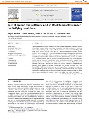 Fate of Aniline and Sulfanilic Acid in UASB Bioreactors Under Denitrifying Conditions